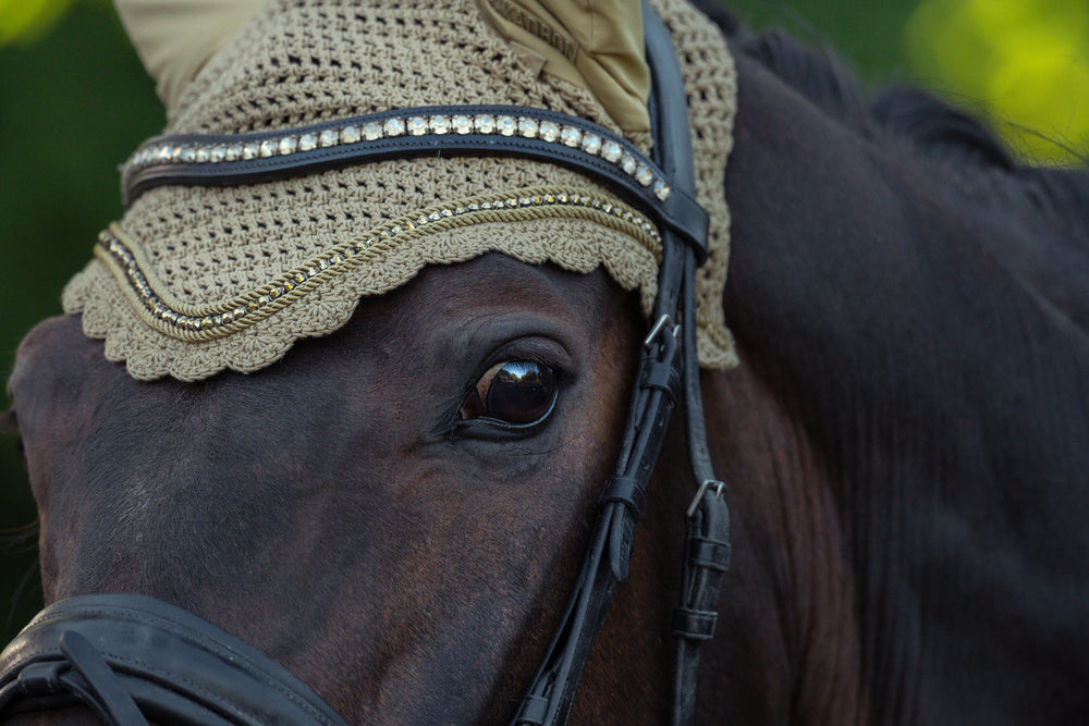 Looking for Heritage'25?