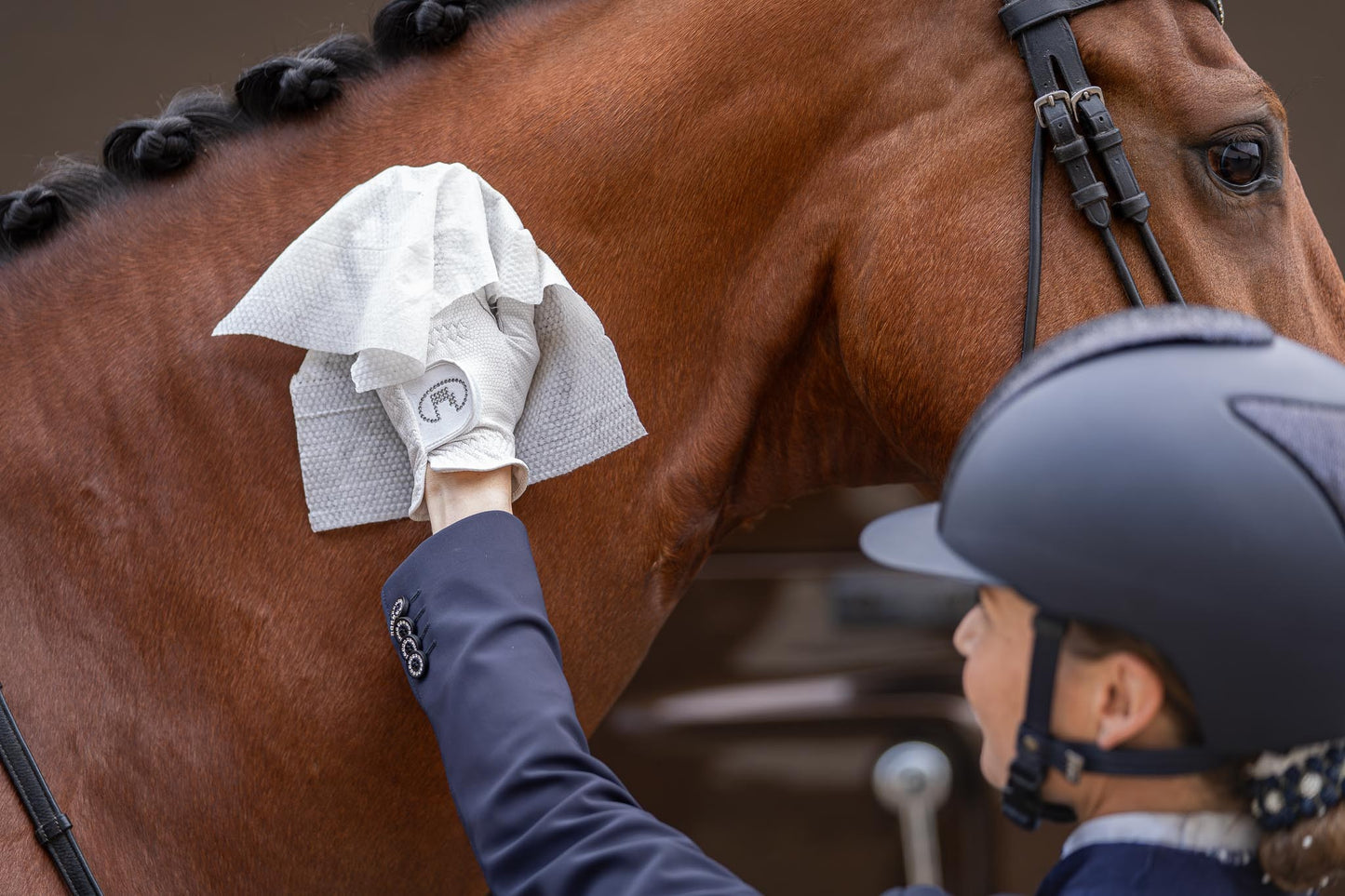 Horse wipes