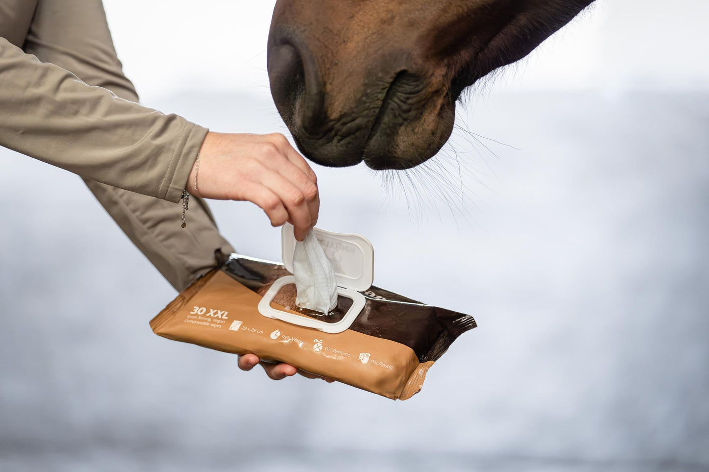 Horse wipes