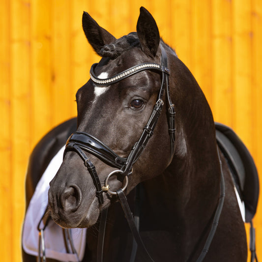 Passier Starlight Trens hoofdstel