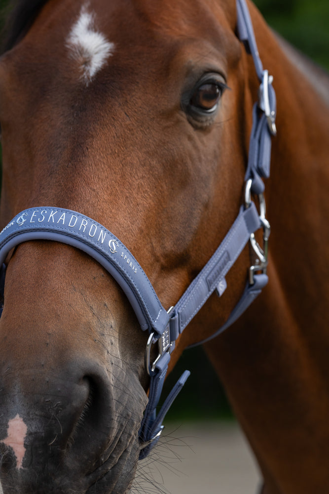 Eskadron Halster Sparkle DP