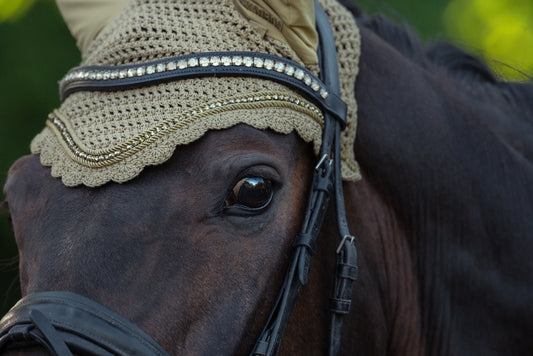 Looking for Heritage'25?